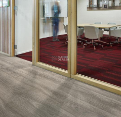 Forbo Allura Click Pro 60280CL5 grey giant oak фото 2 | FLOORDEALER